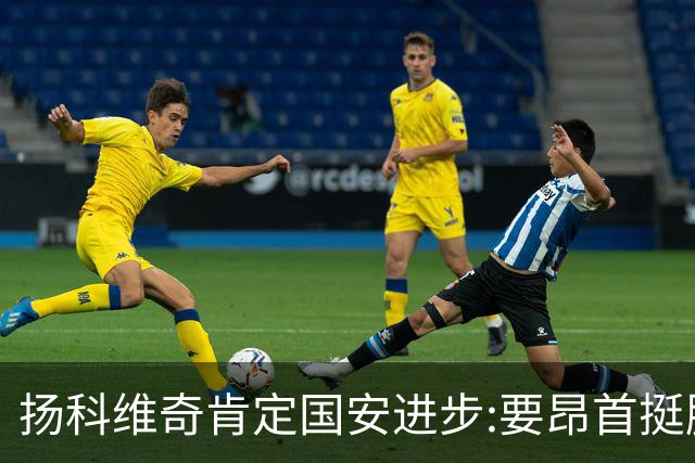 扬科维奇肯定国安进步:要昂首挺胸 做得非常好了